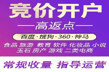 案例解析：百度推广排名提升的实战技巧